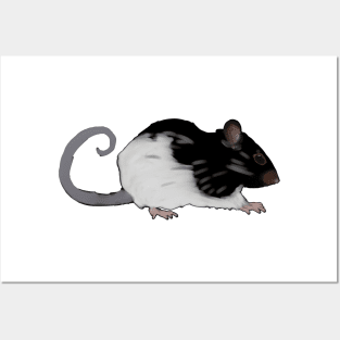 A little rat named Ink Posters and Art